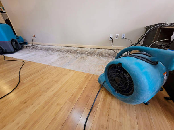 Professional Basement Flood Cleanup technician working in Saint Paris, OH